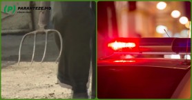 I-a atacat cu furca pe polițiștii veniți să pună capăt audiției nocturne de manele într-o gospodărie din Iași